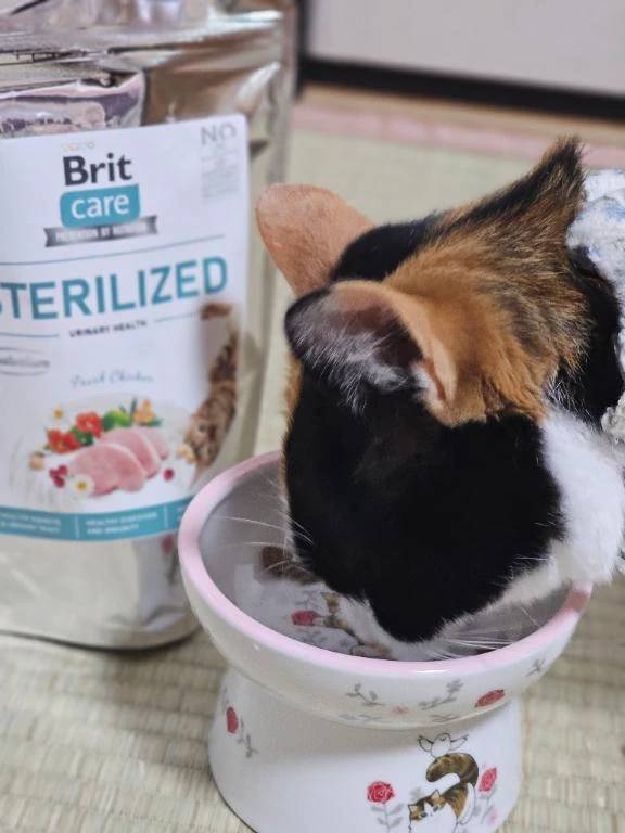 🎁に夢中😻Sさんありがとう✨