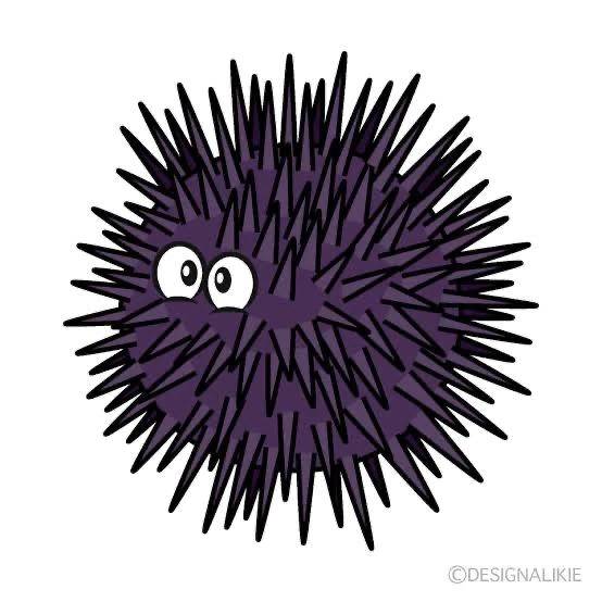 ウニ!