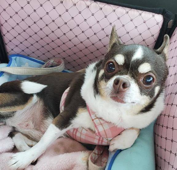 ☆今日のお題③☆