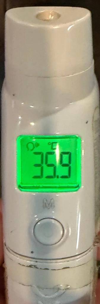 今日の体温...｡
