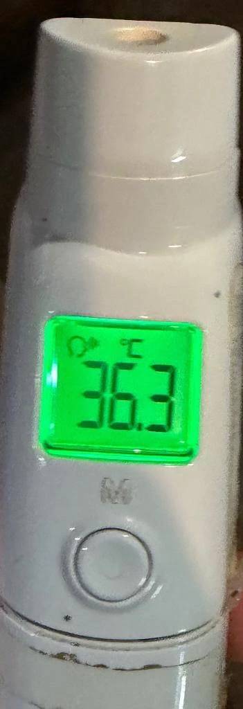 今日の体温...。
