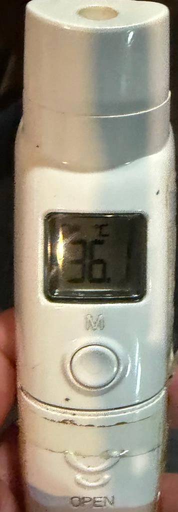 今日の体温...｡