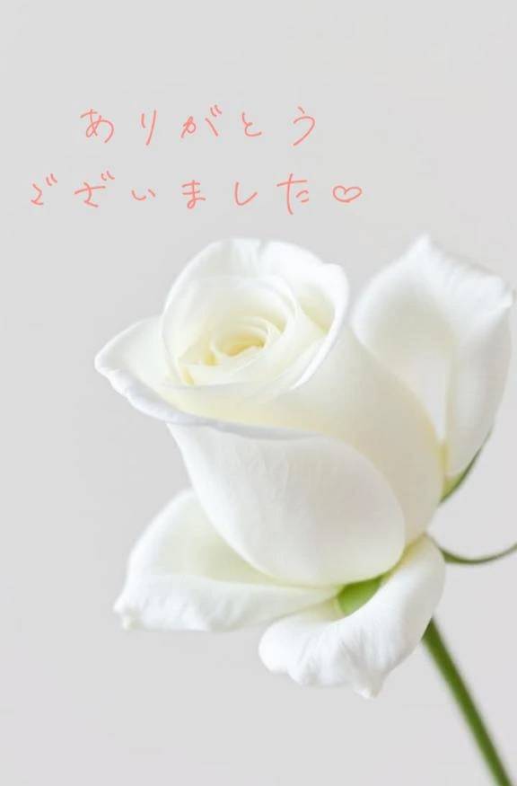 【お礼写メ日記】