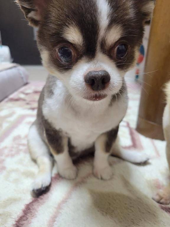 ☆表情…☆