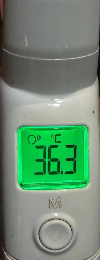 今日の体温...｡