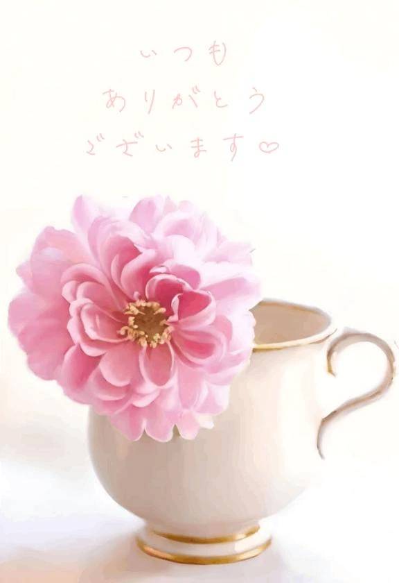 【お礼写メ日記】