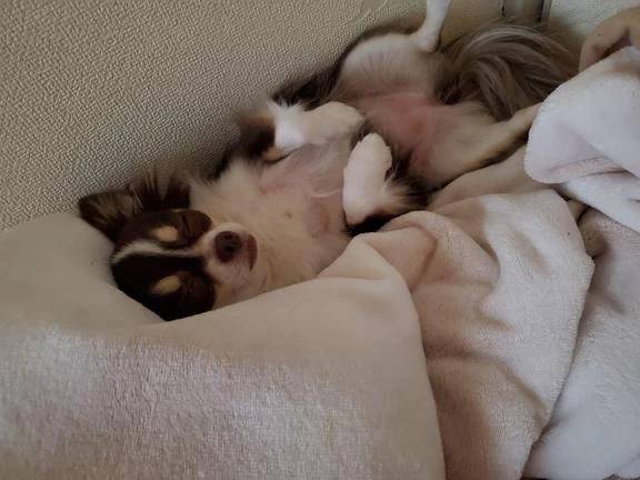 ☆今日のお題①☆