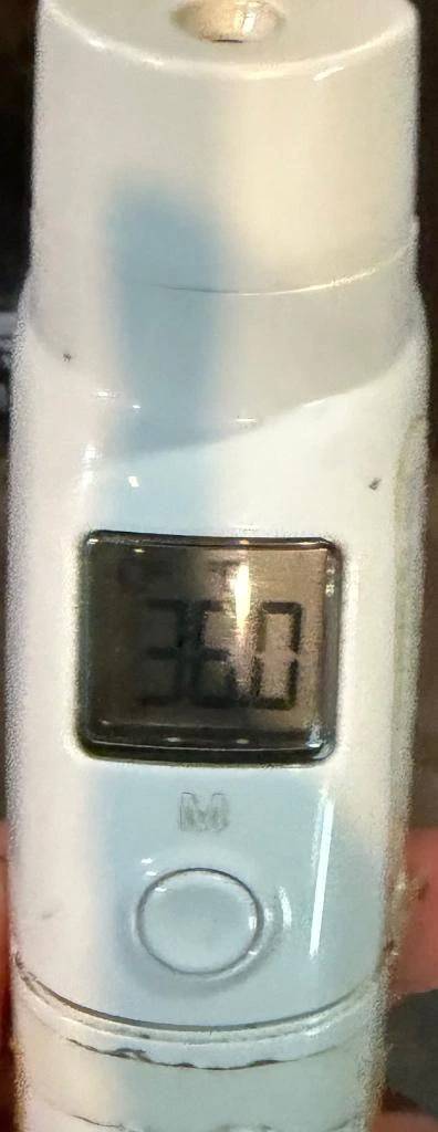 今日の体温...。