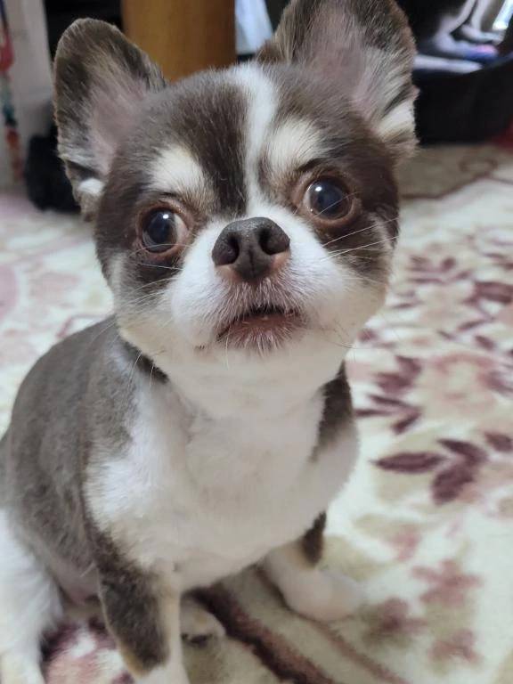 ☆サマー☆