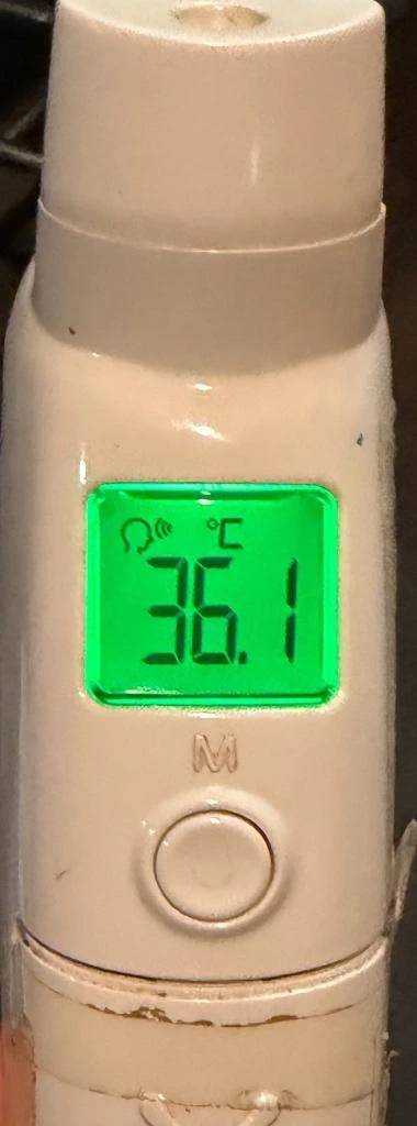 今日の体温...｡