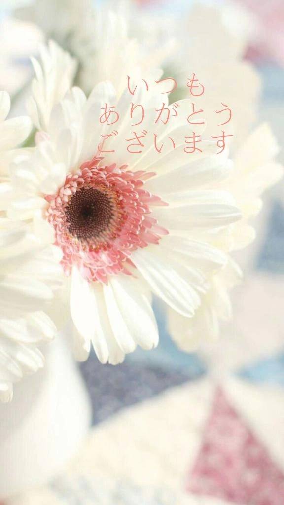 【お礼写メ日記】