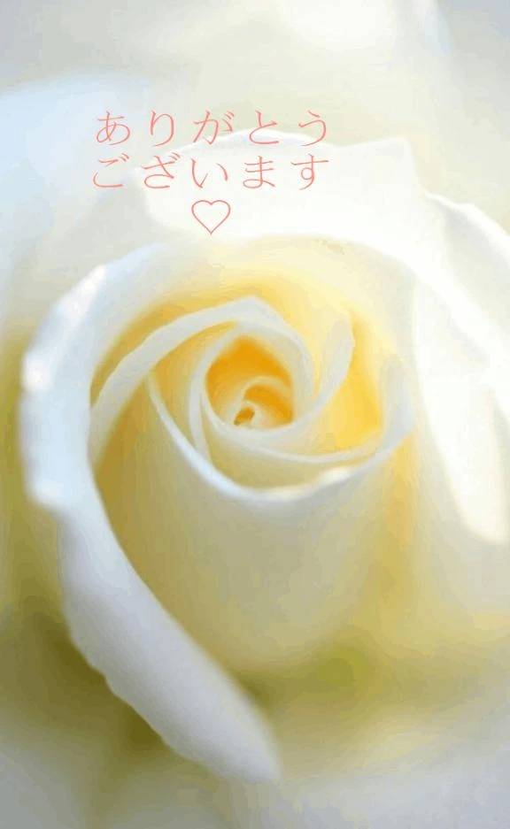 【お礼写メ日記】