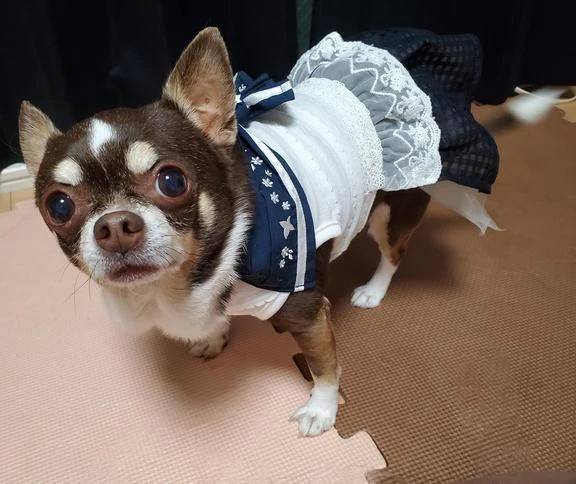 ☆今日のお題②☆