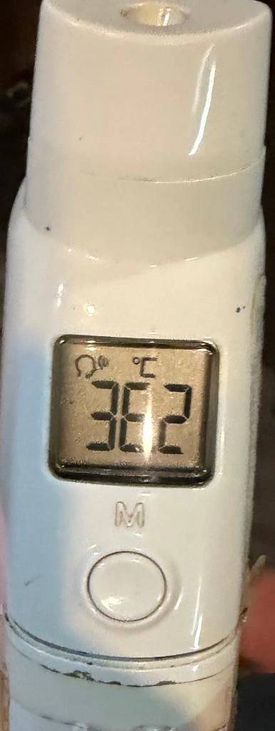 今日の体温...｡