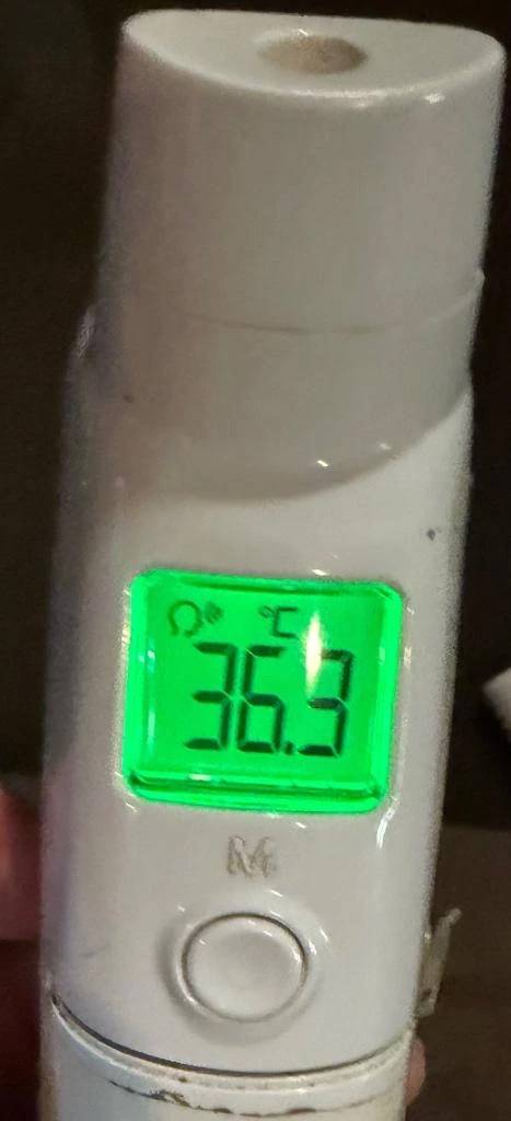 今日の体温...。
