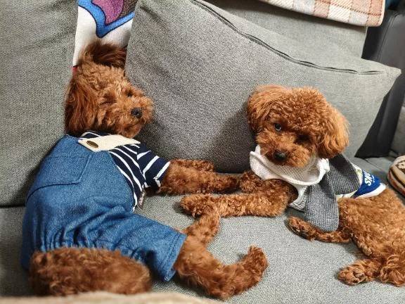 本日は🥰