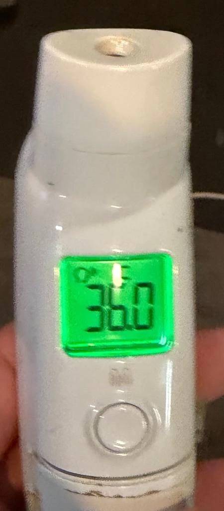 今日の体温...｡
