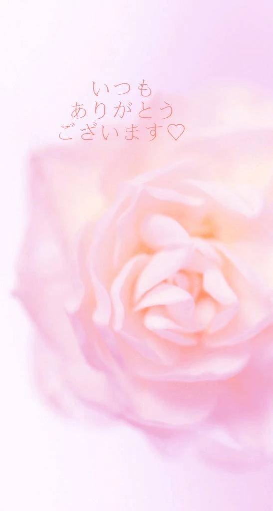 【お礼写メ日記】