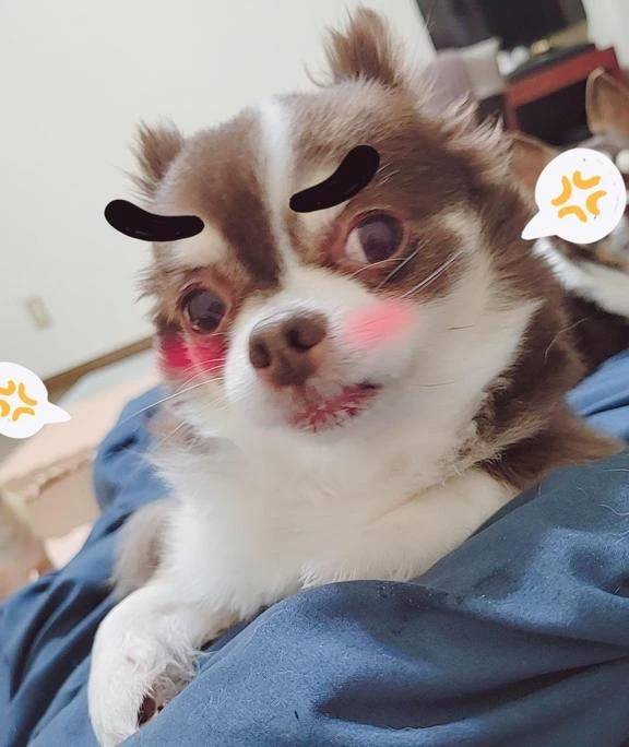 ☆今日の体温☆