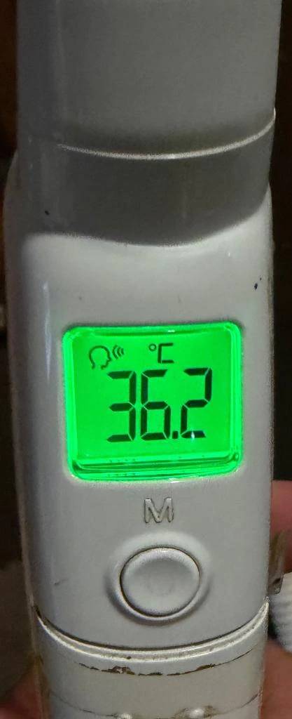 今日の体温...｡