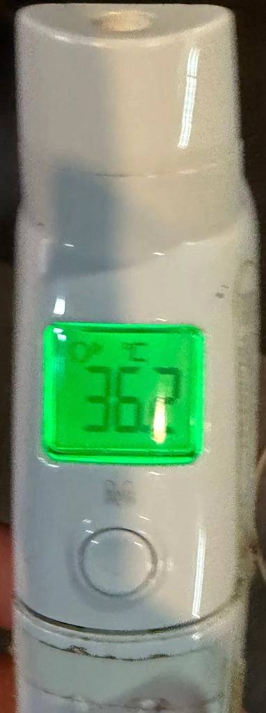 今日の体温...｡