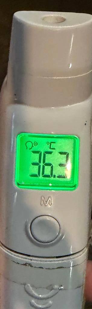 今日の体温...｡