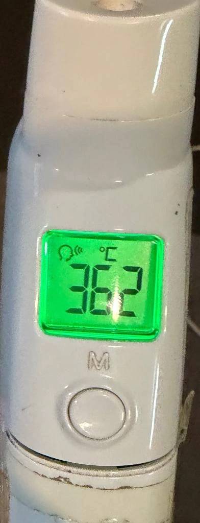 今日の体温...｡