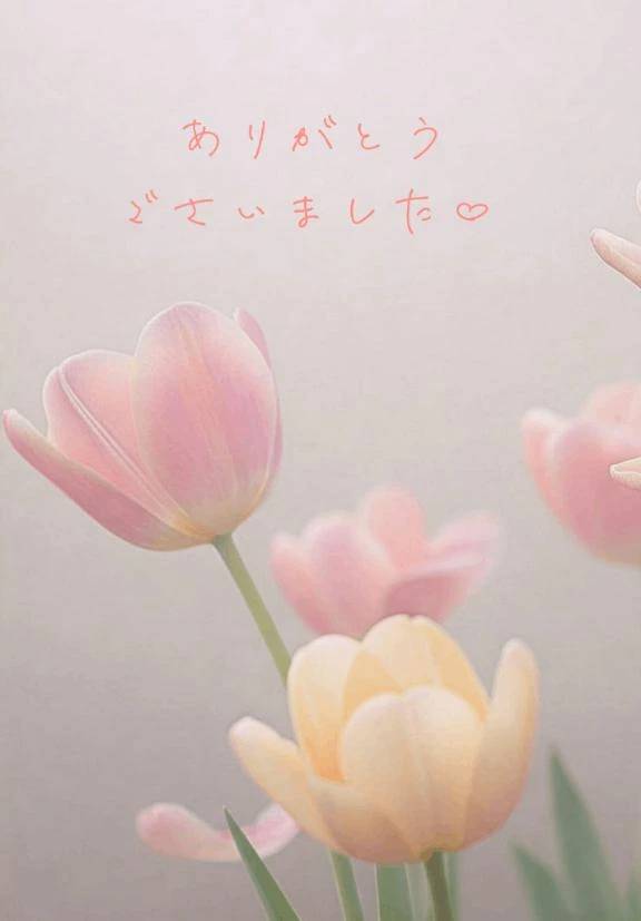 【お礼写メ日記】