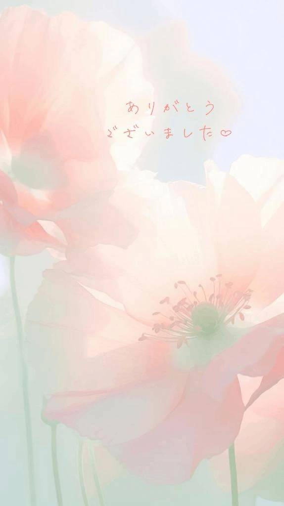 【お礼写メ日記】