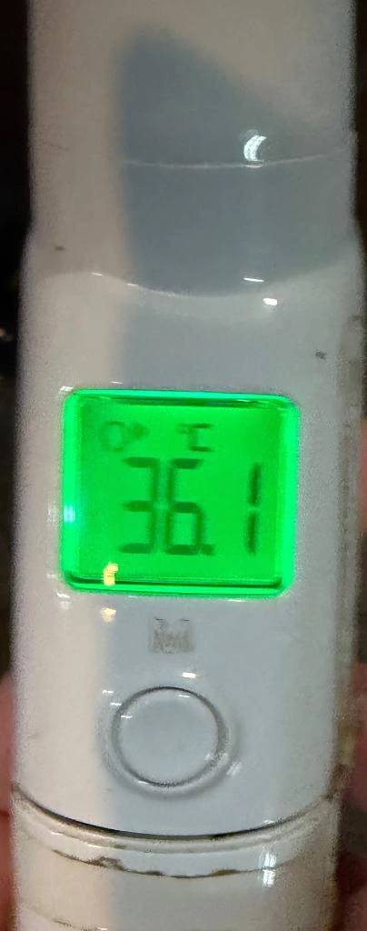 今日の体温...｡