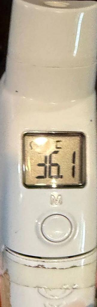 今日の体温...。