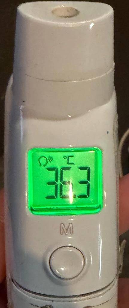 今日の体温...｡
