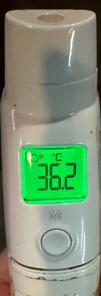 今日の体温...｡