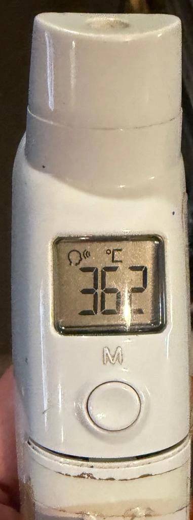 今日の体温...。