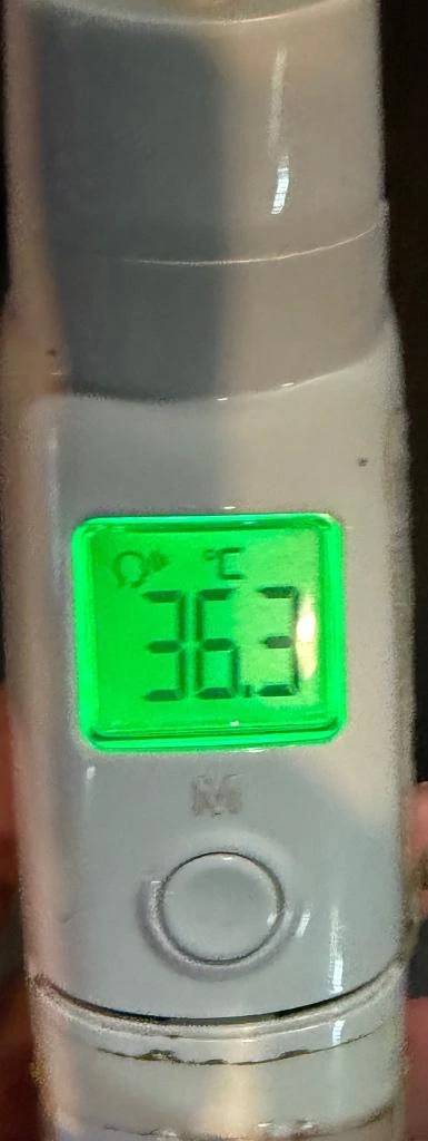 今日の体温...。