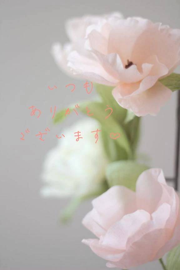 【お礼写メ日記】