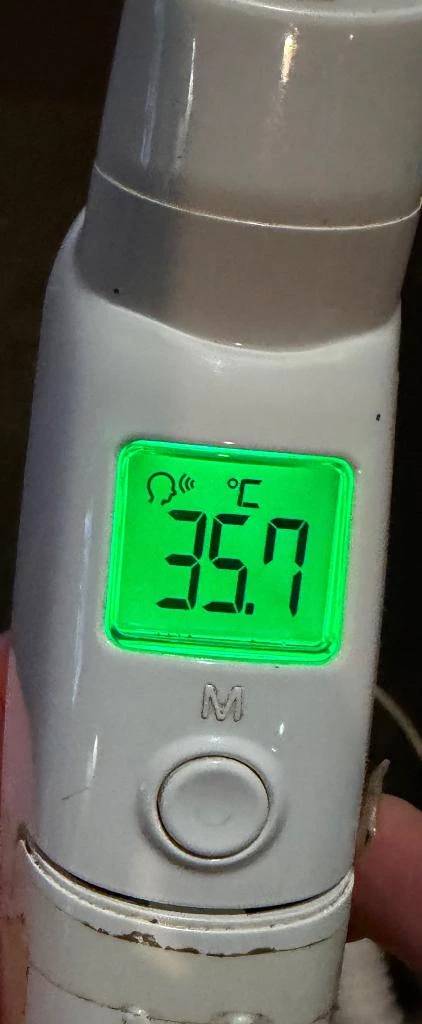 今日の体温...｡