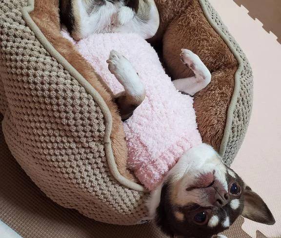 ☆今日のお題①☆