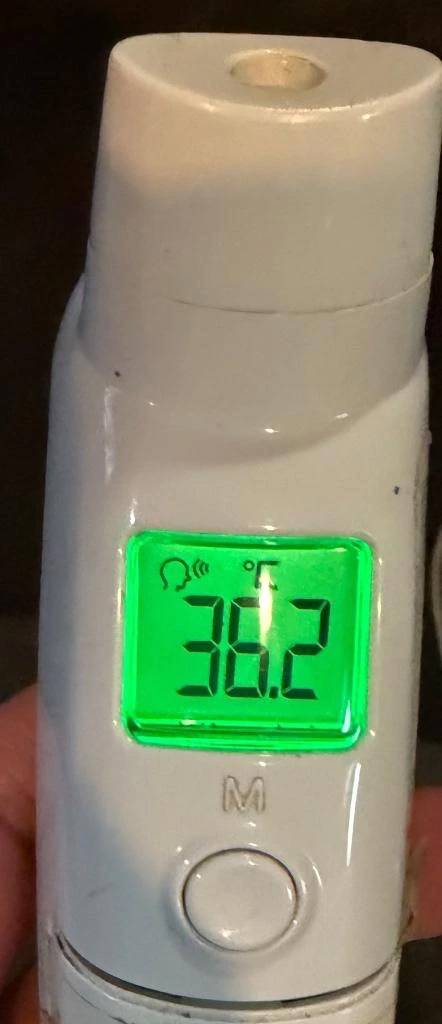 今日の体温...｡