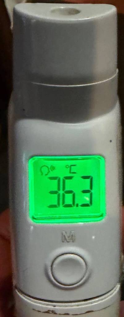今日の体温...｡