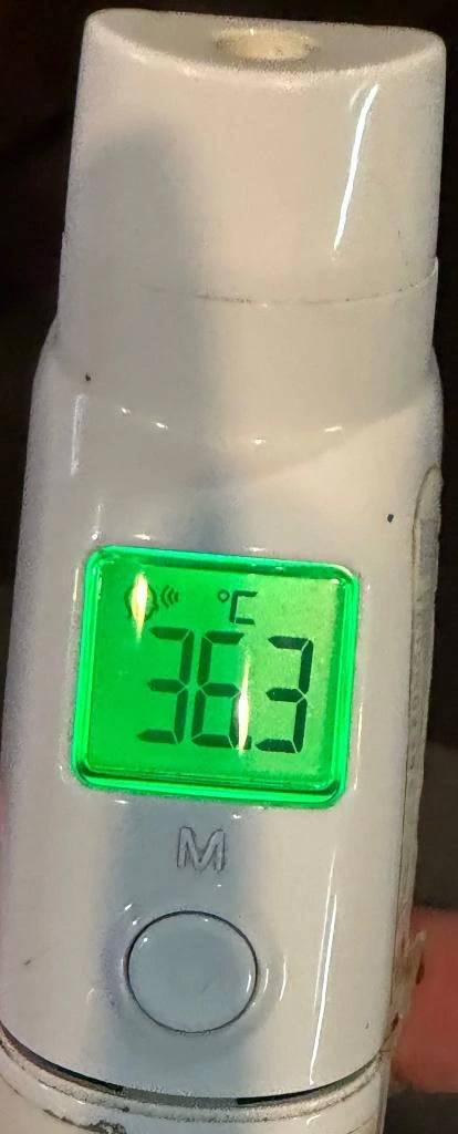 今日の体温...｡