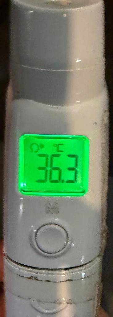 今日の体温...｡