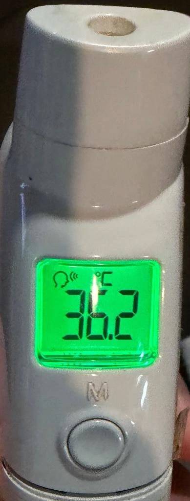 今日の体温...｡