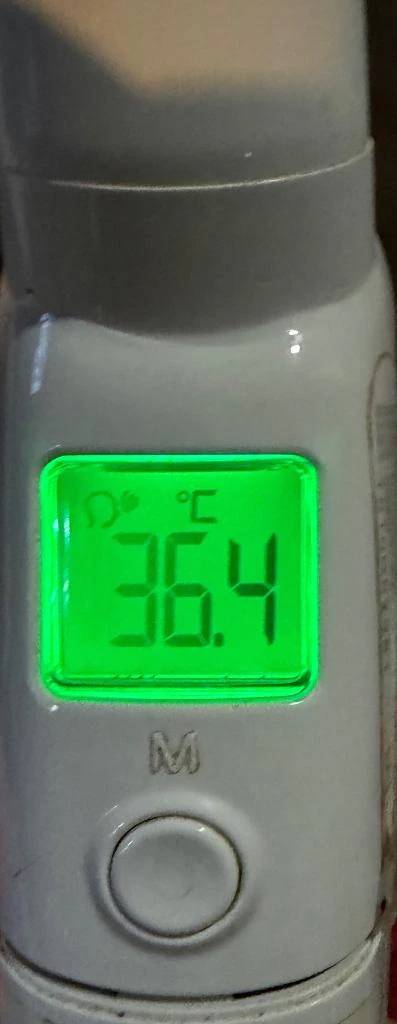 今日の体温...｡