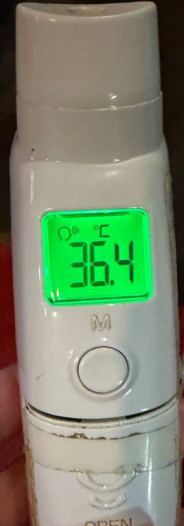 今日の体温...｡