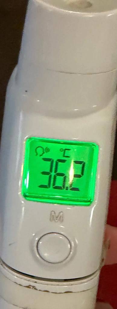 今日の体温...｡