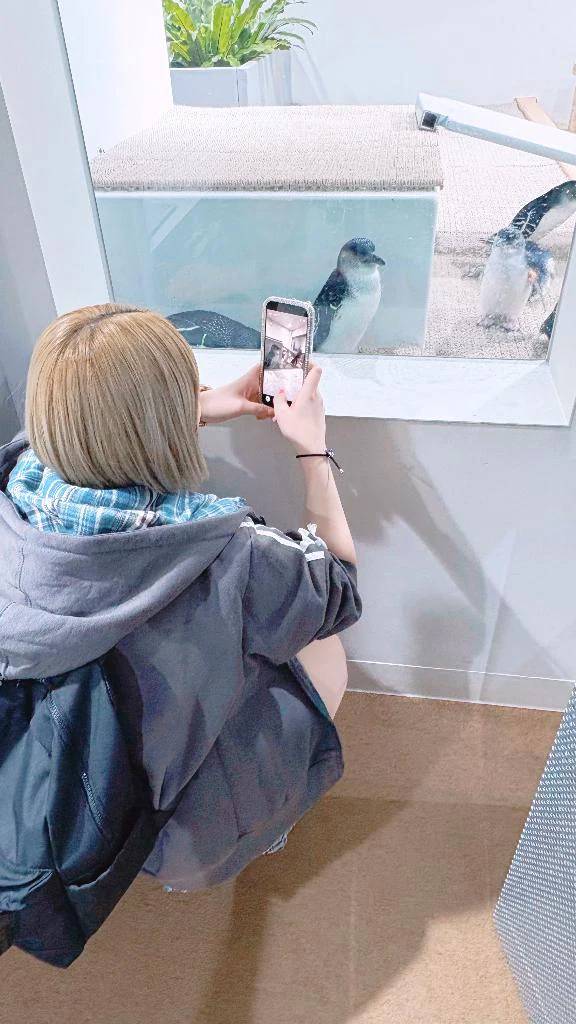 ペンギン🐧