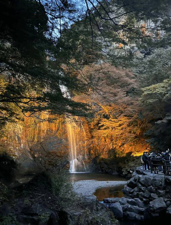 秋の風景🍂
