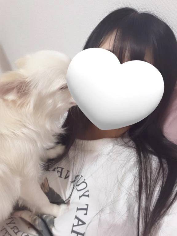 出勤前の日常🐶