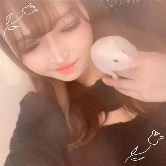 🐹① 見ているだけで幸せな動物は？